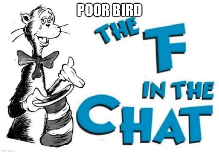 The F in the Chat | POOR BIRD | image tagged in the f in the chat | made w/ Imgflip meme maker