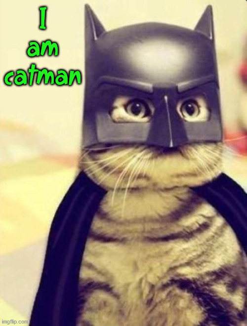 I am catman | image tagged in superheroes | made w/ Imgflip meme maker