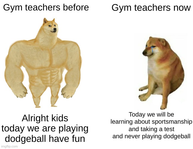 Buff Doge vs. Cheems Meme | Gym teachers before; Gym teachers now; Today we will be learning about sportsmanship and taking a test and never playing dodgeball; Alright kids today we are playing dodgeball have fun | image tagged in memes,buff doge vs cheems,funny memes | made w/ Imgflip meme maker