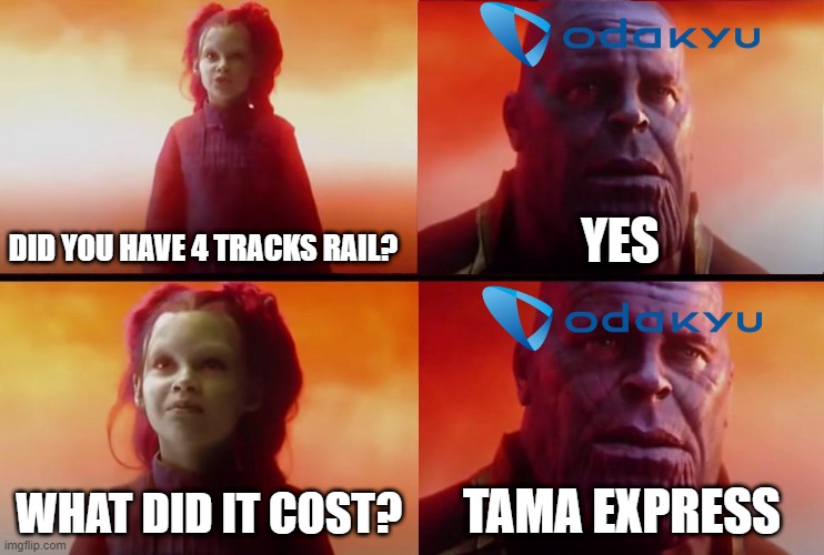 Odakyu Railway with four tracks  rail | DID YOU HAVE 4 TRACKS RAIL? YES; WHAT DID IT COST? TAMA EXPRESS | image tagged in thanos what did it cost | made w/ Imgflip meme maker