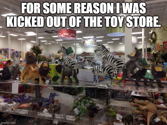 I guess Toys were not us. | FOR SOME REASON I WAS KICKED OUT OF THE TOY STORE. | image tagged in toys | made w/ Imgflip meme maker