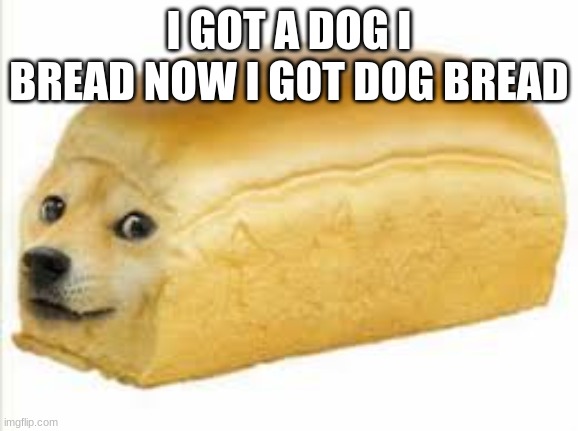 Doge bread | I GOT A DOG I BREAD NOW I GOT DOG BREAD | image tagged in doge bread | made w/ Imgflip meme maker