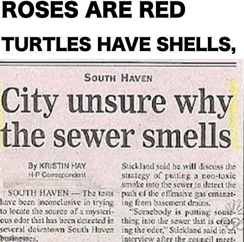 Thank you city, very cool. |  ROSES ARE RED; TURTLES HAVE SHELLS, | image tagged in memes,unfunny,breaking news | made w/ Imgflip meme maker