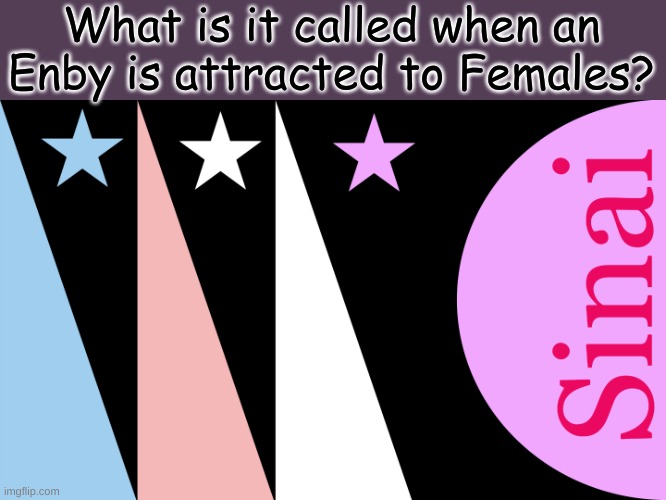 What is it called when an Enby is attracted to Females? | made w/ Imgflip meme maker