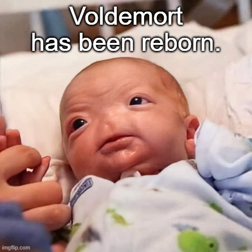 Voldemort has been reborn. | image tagged in funny | made w/ Imgflip meme maker