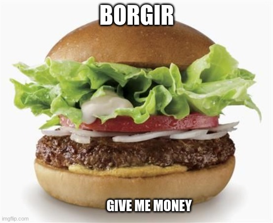 Borgir | BORGIR; GIVE ME MONEY | image tagged in i made this at schools | made w/ Imgflip meme maker