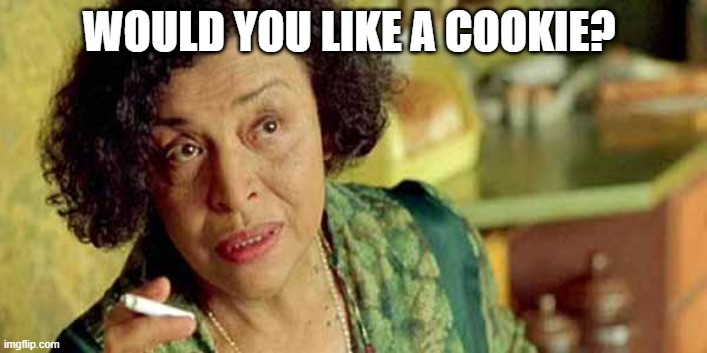 Cookies | WOULD YOU LIKE A COOKIE? | image tagged in oracle matrix,matrix,the matrix,cookies | made w/ Imgflip meme maker