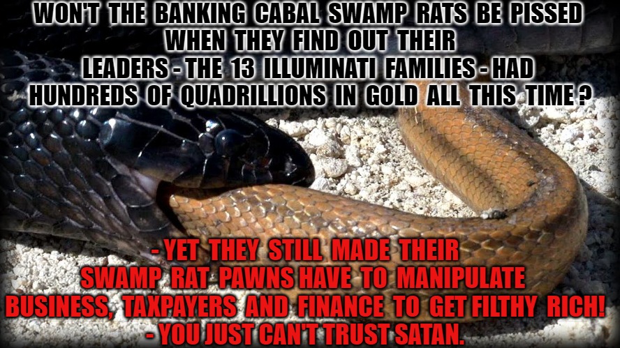 Swamp Rats used by Satan | WON'T  THE  BANKING  CABAL  SWAMP  RATS  BE  PISSED 
 WHEN  THEY  FIND  OUT  THEIR  LEADERS - THE  13  ILLUMINATI  FAMILIES - HAD  HUNDREDS  OF  QUADRILLIONS  IN  GOLD  ALL  THIS  TIME ? - YET  THEY  STILL  MADE  THEIR  SWAMP  RAT  PAWNS HAVE  TO  MANIPULATE  BUSINESS,  TAXPAYERS  AND  FINANCE  TO  GET FILTHY  RICH!
- YOU JUST CAN'T TRUST SATAN. | image tagged in swamp rats,cabal,illuminati,bankers,the great awakening | made w/ Imgflip meme maker