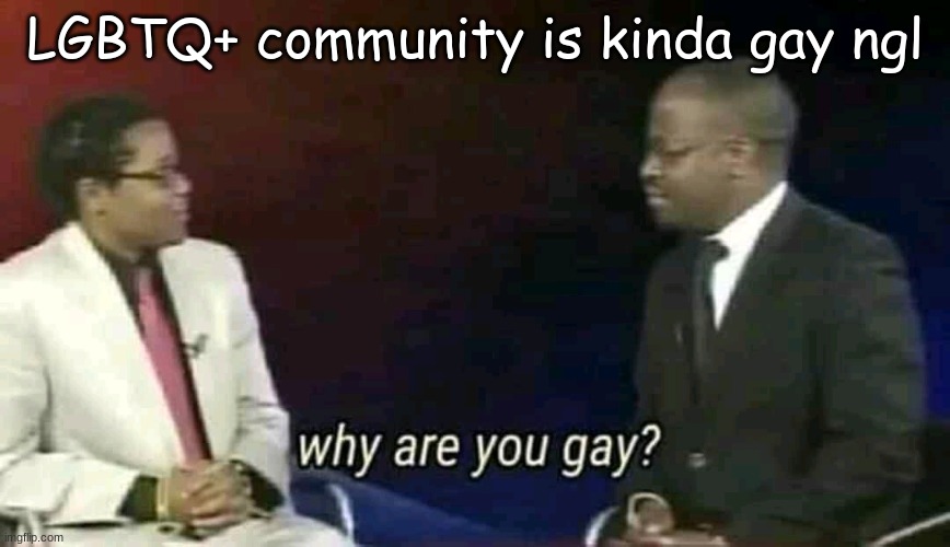 Why are you gay? | LGBTQ+ community is kinda gay ngl | image tagged in why are you gay | made w/ Imgflip meme maker