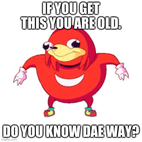 If you get this YOU ARE OLD | IF YOU GET THIS YOU ARE OLD. DO YOU KNOW DAE WAY? | image tagged in old memes | made w/ Imgflip meme maker