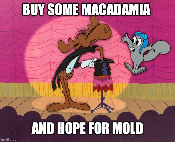 rocky and bullwinkle hat trick | BUY SOME MACADAMIA AND HOPE FOR MOLD | image tagged in rocky and bullwinkle hat trick | made w/ Imgflip meme maker