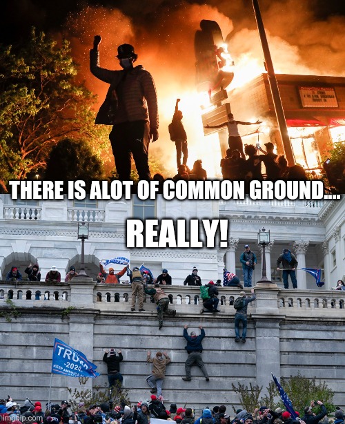 THERE IS ALOT OF COMMON GROUND.... REALLY! | image tagged in blm riots,trumpism 2021 | made w/ Imgflip meme maker
