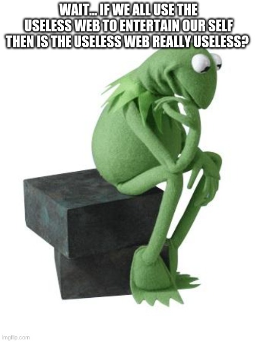 Philosophy Kermit | WAIT... IF WE ALL USE THE USELESS WEB TO ENTERTAIN OUR SELF THEN IS THE USELESS WEB REALLY USELESS? | image tagged in philosophy kermit | made w/ Imgflip meme maker