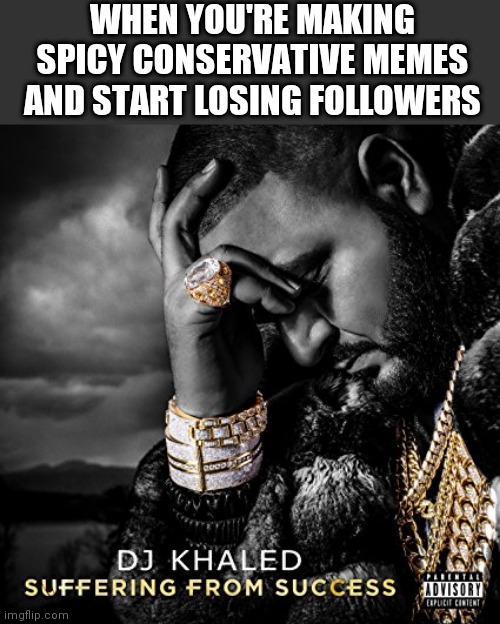 Suffering From Success | WHEN YOU'RE MAKING SPICY CONSERVATIVE MEMES AND START LOSING FOLLOWERS | image tagged in suffering from success | made w/ Imgflip meme maker