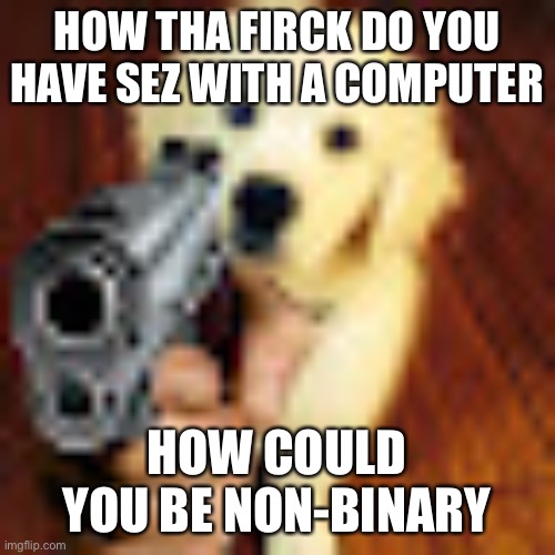 Dog gun | HOW THA FIRCK DO YOU HAVE SEZ WITH A COMPUTER; HOW COULD YOU BE NON-BINARY | image tagged in dog gun | made w/ Imgflip meme maker