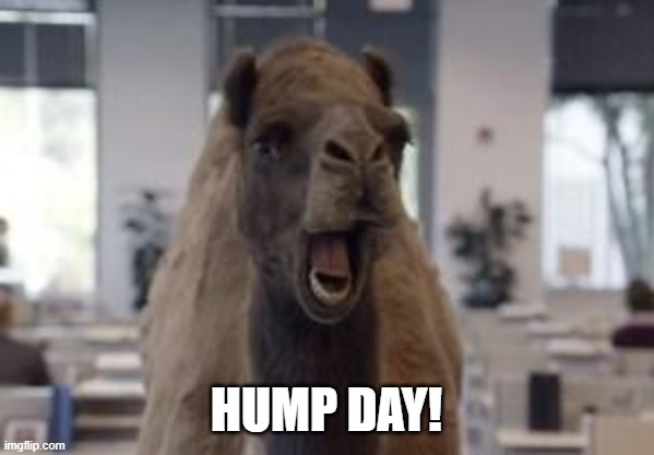 Hump Day Camel | HUMP DAY! | image tagged in hump day camel | made w/ Imgflip meme maker