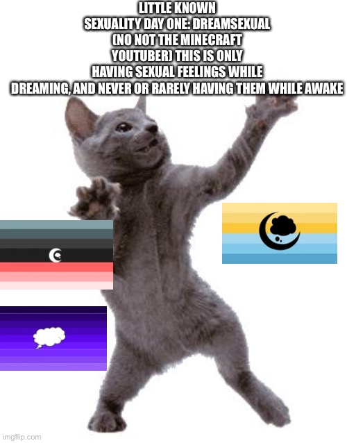 Happy Dance Cat | LITTLE KNOWN SEXUALITY DAY ONE: DREAMSEXUAL (NO NOT THE MINECRAFT YOUTUBER) THIS IS ONLY HAVING SEXUAL FEELINGS WHILE DREAMING, AND NEVER OR RARELY HAVING THEM WHILE AWAKE | image tagged in happy dance cat | made w/ Imgflip meme maker