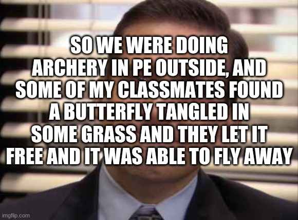 wholesome | SO WE WERE DOING ARCHERY IN PE OUTSIDE, AND SOME OF MY CLASSMATES FOUND A BUTTERFLY TANGLED IN SOME GRASS AND THEY LET IT FREE AND IT WAS ABLE TO FLY AWAY | image tagged in wholesome | made w/ Imgflip meme maker