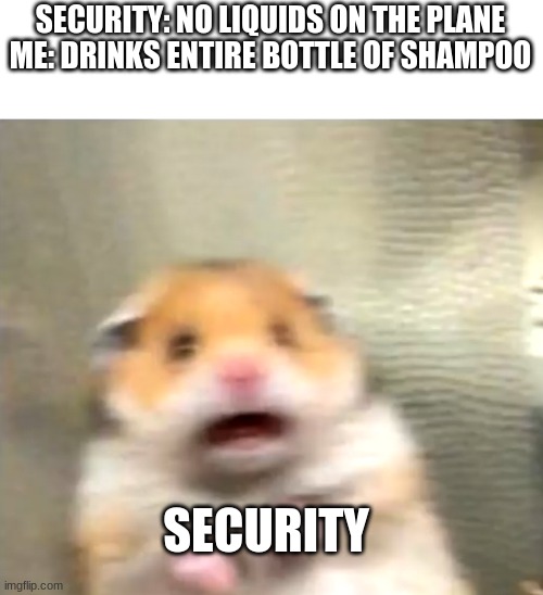 hampter | SECURITY: NO LIQUIDS ON THE PLANE
ME: DRINKS ENTIRE BOTTLE OF SHAMPOO; SECURITY | image tagged in scared hamster | made w/ Imgflip meme maker