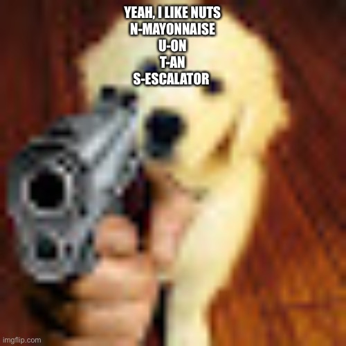 Dog gun | YEAH, I LIKE NUTS
N-MAYONNAISE
U-ON
T-AN
S-ESCALATOR | image tagged in dog gun | made w/ Imgflip meme maker