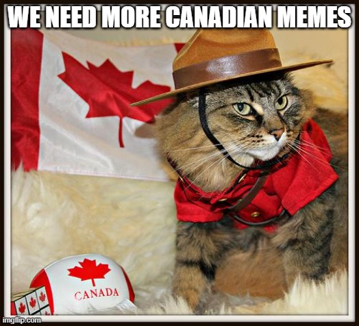 Canada Cat | WE NEED MORE CANADIAN MEMES | image tagged in canada cat | made w/ Imgflip meme maker