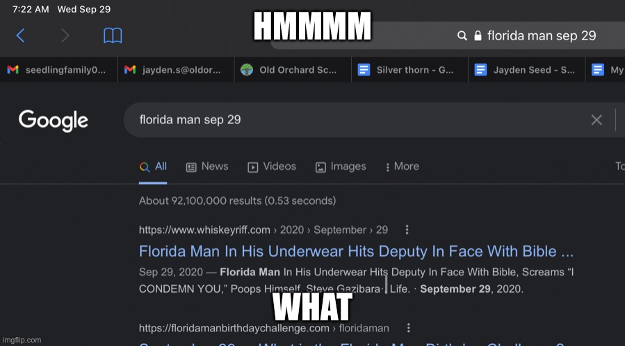Day2 of Florida man | HMMMM; WHAT | image tagged in funny memes,fun stream | made w/ Imgflip meme maker