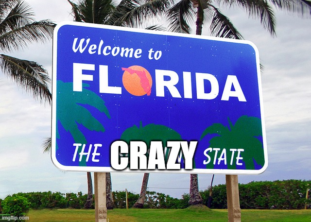 CRAZY | image tagged in florida | made w/ Imgflip meme maker