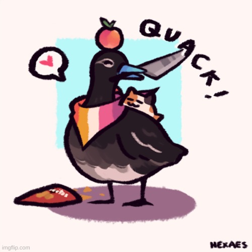 gay duck | image tagged in duck fallen | made w/ Imgflip meme maker