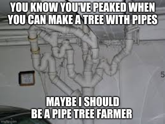 farmin time | YOU KNOW YOU'VE PEAKED WHEN YOU CAN MAKE A TREE WITH PIPES; MAYBE I SHOULD BE A PIPE TREE FARMER | image tagged in pipe tree | made w/ Imgflip meme maker
