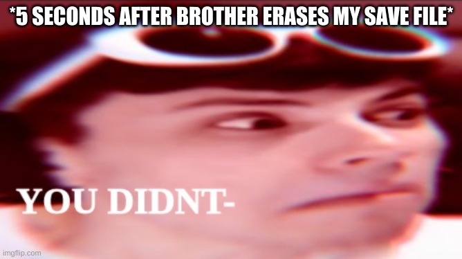 *5 SECONDS AFTER BROTHER ERASES MY SAVE FILE* | image tagged in dream smp | made w/ Imgflip meme maker