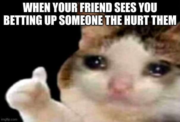 Sad cat thumbs up | WHEN YOUR FRIEND SEES YOU BETTING UP SOMEONE THE HURT THEM | image tagged in sad cat thumbs up | made w/ Imgflip meme maker