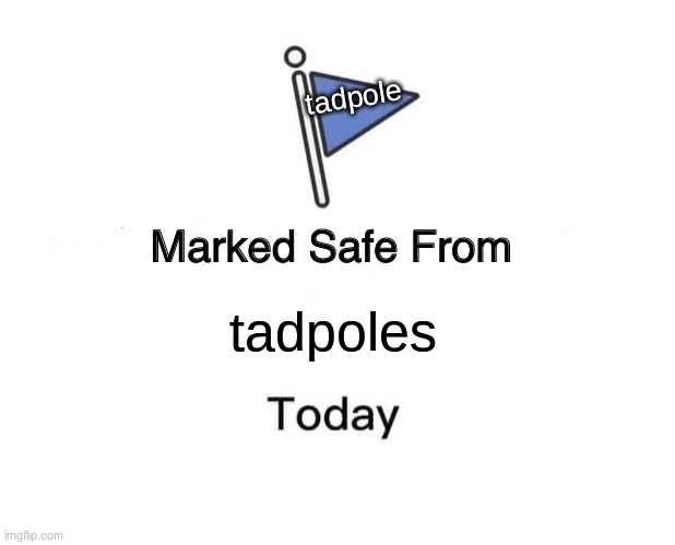 very scary | tadpole; tadpoles | image tagged in memes,marked safe from | made w/ Imgflip meme maker