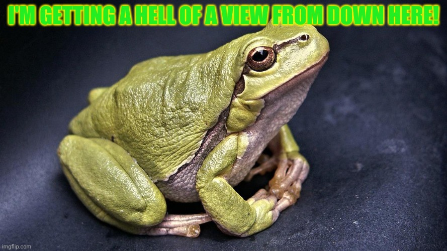 I'M GETTING A HELL OF A VIEW FROM DOWN HERE! | made w/ Imgflip meme maker