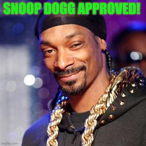 Snoop dogg | SNOOP DOGG APPROVED! | image tagged in snoop dogg | made w/ Imgflip meme maker