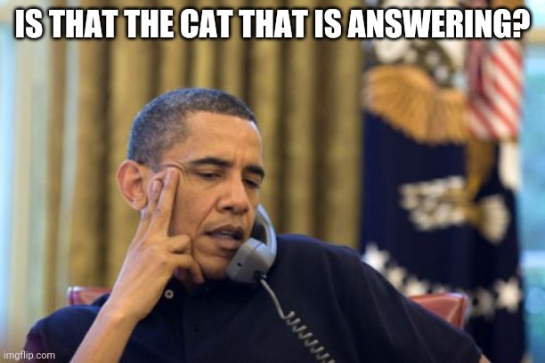 No I Can't Obama Meme | IS THAT THE CAT THAT IS ANSWERING? | image tagged in memes,no i can't obama | made w/ Imgflip meme maker