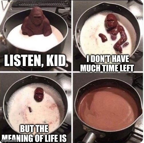 listen kid i dont have much time left | LISTEN, KID; I DON'T HAVE MUCH TIME LEFT; BUT THE MEANING OF LIFE IS | image tagged in listen kid i dont have much time left | made w/ Imgflip meme maker