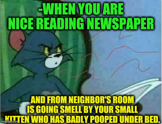 -Ahh, just small dude! | -WHEN YOU ARE NICE READING NEWSPAPER; AND FROM NEIGHBOR'S ROOM IS GOING SMELL BY YOUR SMALL KITTEN WHO HAS BADLY POOPED UNDER BED. | image tagged in tom newspaper original,cute kittens,bed,bad smell,clean up,shitty meme | made w/ Imgflip meme maker