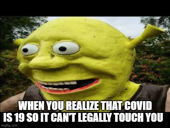 Surprised Shrek | WHEN YOU REALIZE THAT COVID IS 19 SO IT CAN'T LEGALLY TOUCH YOU | image tagged in surprised shrek | made w/ Imgflip meme maker