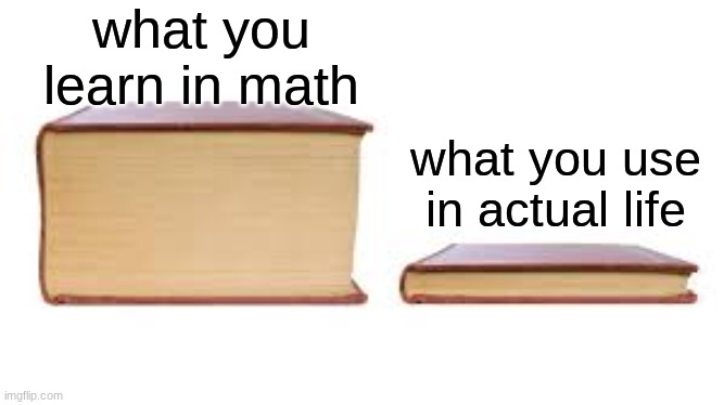 school related meme cause yes | what you learn in math; what you use in actual life | image tagged in big book small book | made w/ Imgflip meme maker