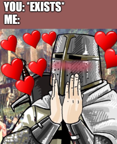 you're.....beautiful | YOU: *EXISTS*; ME: | image tagged in wholesome crusader | made w/ Imgflip meme maker