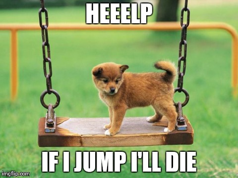 HEEELP IF I JUMP I'LL DIE | image tagged in dogs,puppies,animals,cute | made w/ Imgflip meme maker