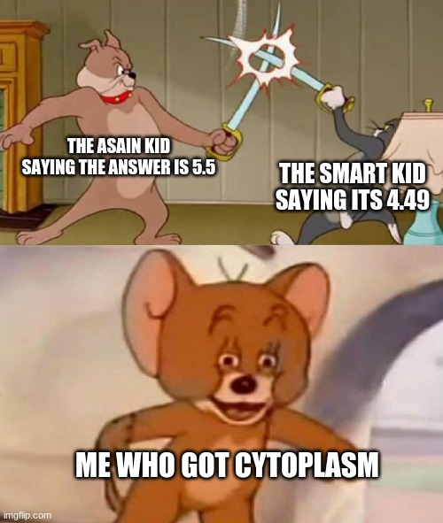 You are all wrong | THE ASAIN KID SAYING THE ANSWER IS 5.5; THE SMART KID SAYING ITS 4.49; ME WHO GOT CYTOPLASM | image tagged in tom and jerry swordfight,pathetic,smort,why are you reading this,memes | made w/ Imgflip meme maker