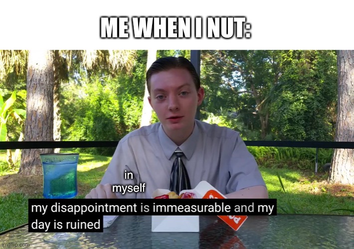 My Disappointment Is Immeasurable | in myself ME WHEN I NUT: | image tagged in my disappointment is immeasurable | made w/ Imgflip meme maker