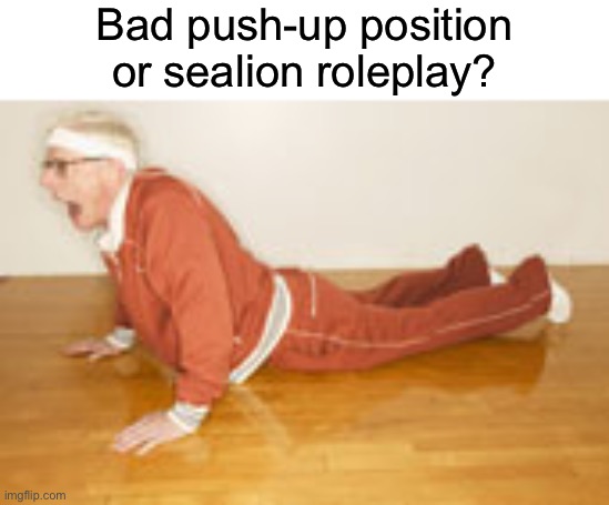 You choose | Bad push-up position or sealion roleplay? | image tagged in funny | made w/ Imgflip meme maker