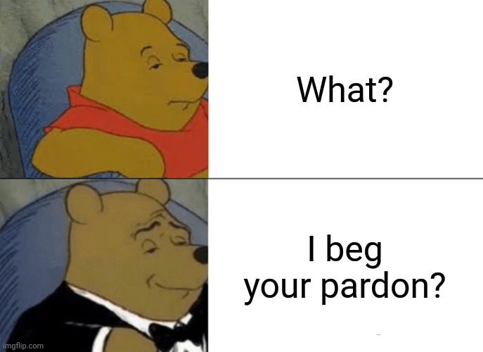 Tuxedo Winnie The Pooh Meme | What? I beg your pardon? | image tagged in memes,tuxedo winnie the pooh | made w/ Imgflip meme maker