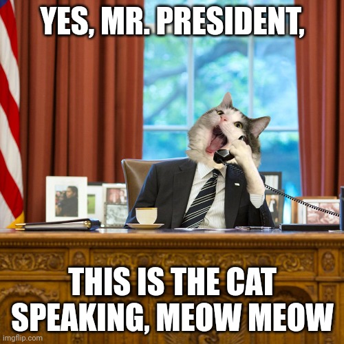 CAT BUSINESSMAN OFFICE TELEPHONE BLANK | YES, MR. PRESIDENT, THIS IS THE CAT SPEAKING, MEOW MEOW | image tagged in cat businessman office telephone blank | made w/ Imgflip meme maker