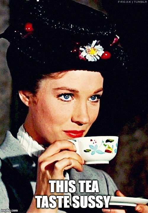 When you ask Mary  Poppins if she wants a cup of tea | THIS TEA TASTE SUSSY | image tagged in marry poppins | made w/ Imgflip meme maker