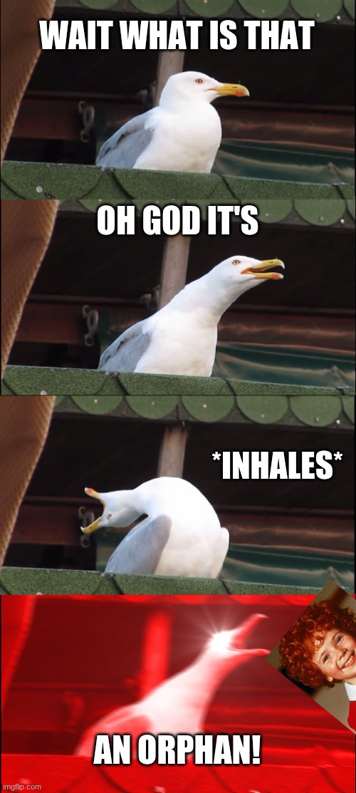 Orphan meme | WAIT WHAT IS THAT; OH GOD IT'S; *INHALES*; AN ORPHAN! | image tagged in memes,inhaling seagull | made w/ Imgflip meme maker
