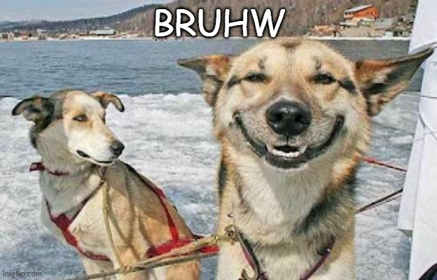 Original Stoner Dog Meme | BRUHW | image tagged in memes,original stoner dog | made w/ Imgflip meme maker