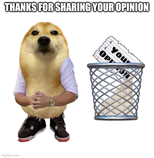 Thanks for sharing your opinion | THANKS FOR SHARING YOUR OPINION | image tagged in thanks for sharing your opinion | made w/ Imgflip meme maker